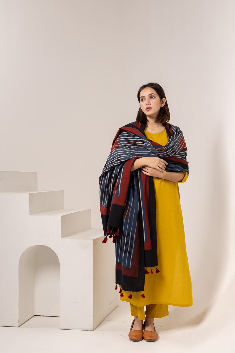 Set of 3 - Kurta, Dupatta, Pants - Earthy Echoes 02