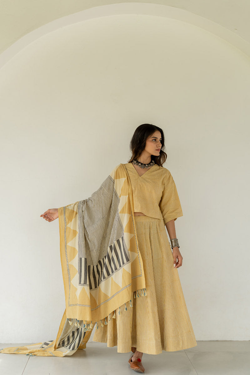 Set of 3 - Flared Skirt, Top & Dupatta