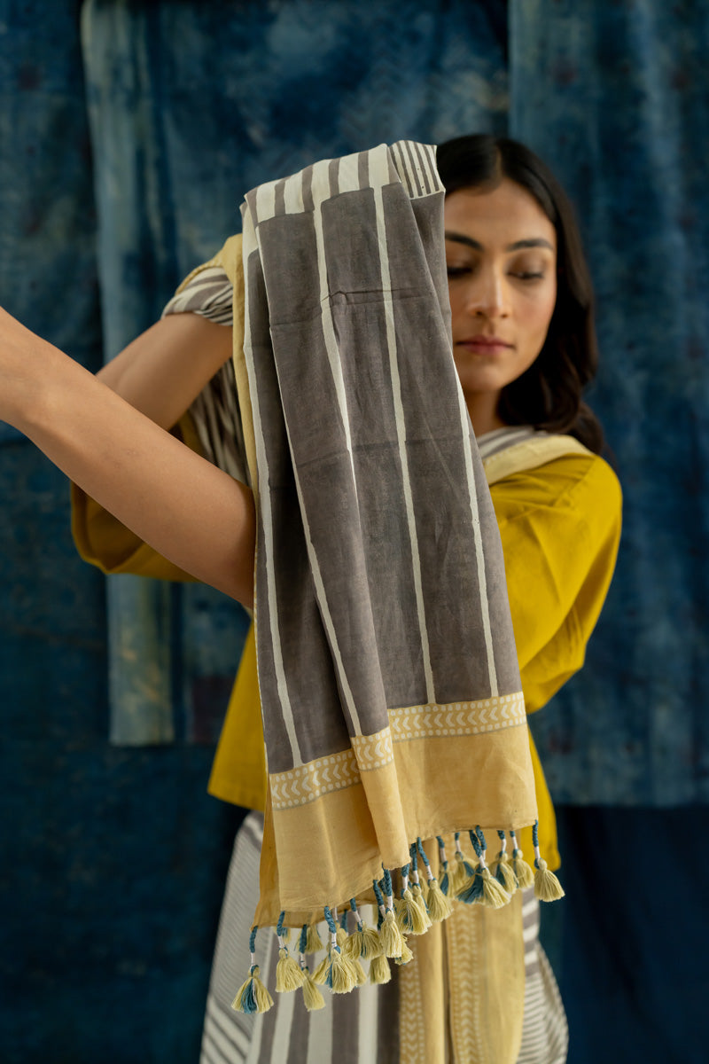 Cotton Saree - Play of Stripes