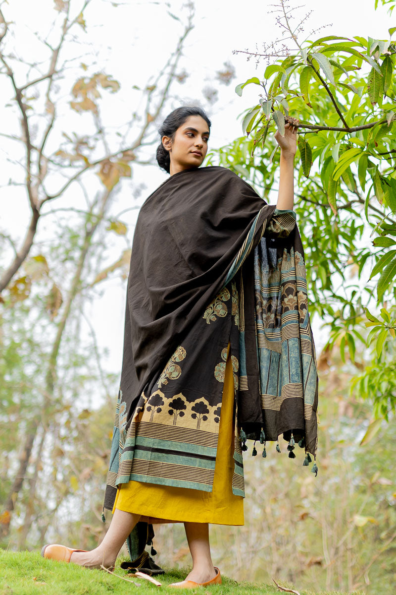 Set of 3 - Kurta, Dupatta, Culotte - Nuri