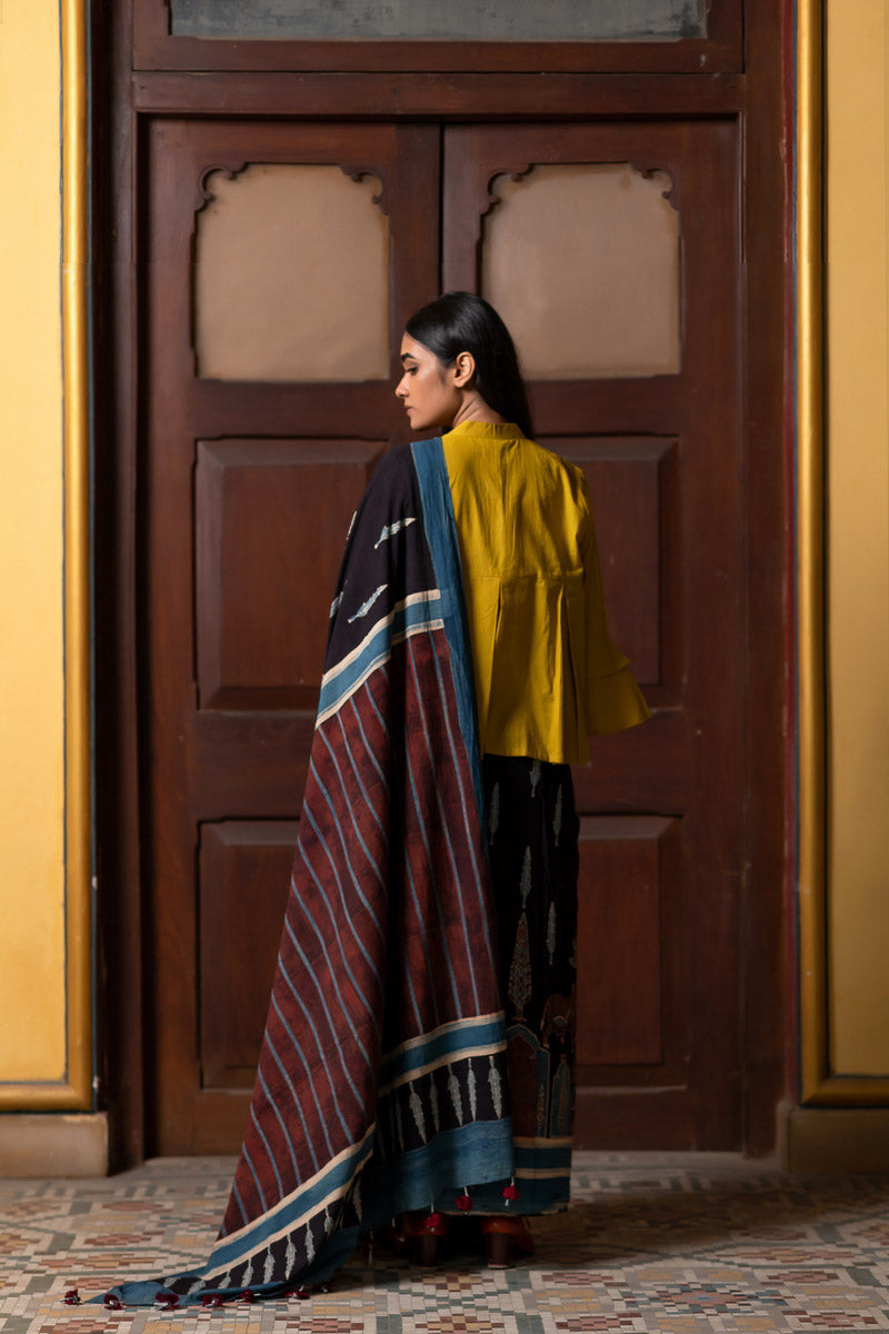 Cotton Saree Shyam 02